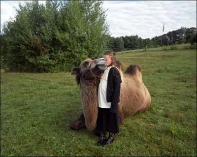 Je ne suis pas plus cachottier qu'un autre, pourtant chez l'tre humain, mon nom est synonyme de mchancet et duplicit, alors qu'en fait je suis d'un temprament plutt placide, on peut mme dire que je bosse pour vous !