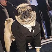 Qui est ce personnage ?