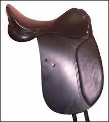 Quelle est cette selle ?