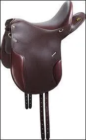 Et maintenant une autre selle ?