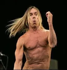 Dans un autre style, Iggy Pop est surnomm l'Iguane mais quelle est sa vritable identit ?