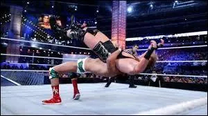 Quelle est cette prise ?