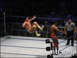 Quelle est cette prise ?