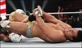 Quelle est cette prise ?