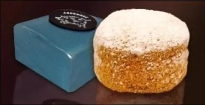 Quel est le nom de ce biscuit moelleux au chocolat, spcialit de Charleville-Mzires, recouvert d'un glaage bleu ?