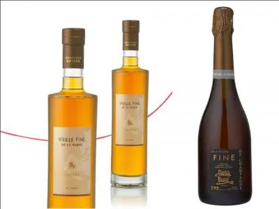 Pour prparer la dariole,  la reine des brocantes , garnir un petit moule  gteau de pte feuillete puis le remplir d'un mlange ufs, sucre, farine, poudre d'amandes, lait, vanille. Ajouter une cuillre  soupe d'eau-de-vie. Laquelle ?