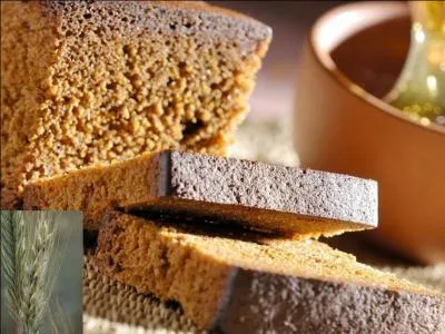 Vers le XIVe sicle, les ptissiers rmois ont eu l'ide de relever avec des pices le got de ce pain au miel, venu de Chine . Ce gteau tait offert aux illustres visiteurs au moment des sacres. Quel ingrdient est indispensable pour qu'il bnficie de l'appellation  pain d'pices de Reims  ?