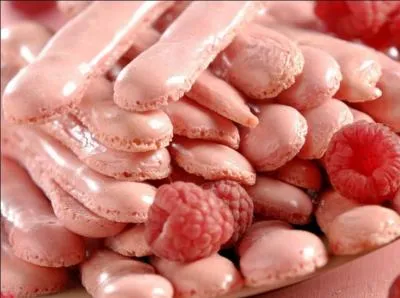 Ce biscuit tait dj connu  Paris au XIXe sicle. C'est au tour de Reims d'assurer sa rputation dans les annes 1930. Allong en forme de doigt ou rond, de couleur crme ou rose, nature, aux amandes,  la framboise, il a une texture trs sche et croquante qui fait craquer les gourmands. C'est :