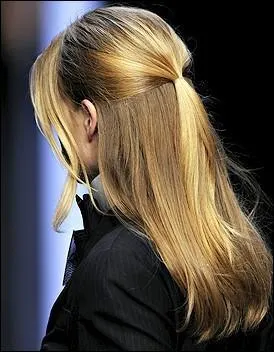 Cette coiffure est ...