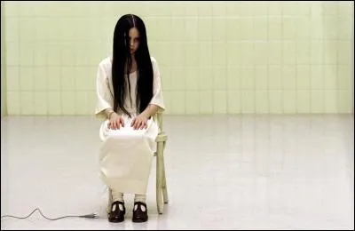 Qui sont les ralisateurs de  Le Cercle  un et deux ?