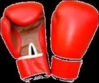 Quel membre du groupe faisait de la boxe avant de participer  X-Factor ?