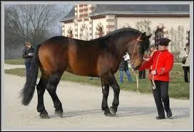 Quel est le plus lger des traits franais ?