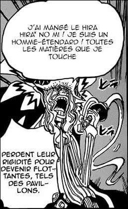 Qui a mangé le Hira Hira no mi ?