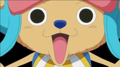 Avec quoi Chopper est-il confondu durant l'aventure ?