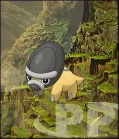 Quelle est l'volution de ce Pokmon ?