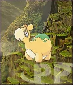 Quelle est l'volution de ce Pokmon ?