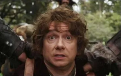 Quel est le nom de la comt o habite Bilbon ?