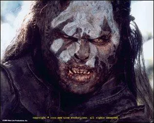 Dans  Uruk-Hai , que signifie  Uruk  ?
