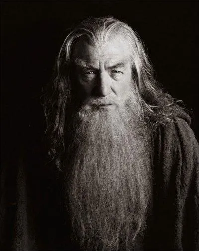 Qui appelle Gandalf  Tharkn  ?