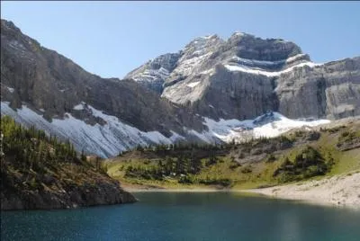 Quel est l'auteur de ce roman : Splendeurs et misres des courtisanes ?