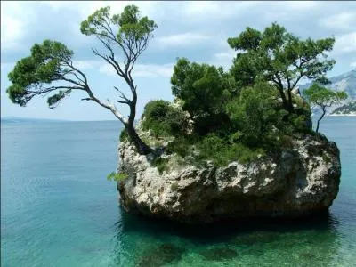 C'est parce qu'elle le vaut bien que vous allez retrouver le nom de Miss France 2013 !