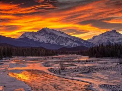 De ces trois clbrits franaises, laquelle fut surnomme  Le divin chauve  ?