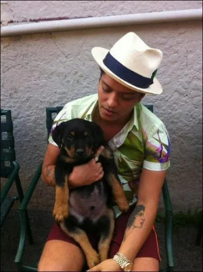 Comment se nomme le chien de Bruno ?