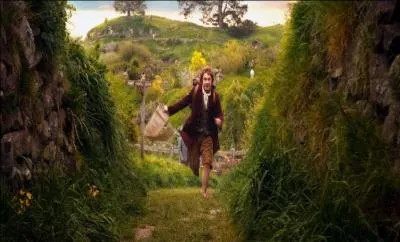 Comment s'appelle ce clbre Hobbit qui quitte sa terre natale pour suivre des nains sur le chemin de la Montagne Solitaire ?