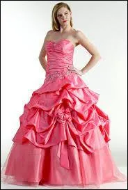 Qui a dit :  La mode c'est une robe qui fait des robes, qui font des robes 