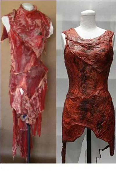 Quelle star a port une robe en viande ?