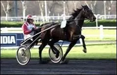 Comment appelle-t-on le trot le plus lent ?