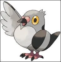 Trouver la suite d'voulution : Poichigeon...