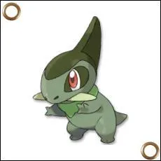 Trouver la suite d'volution : Coupenotte...