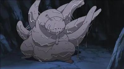 Quel est le nom de Rokubi ?