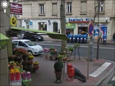 Google a crois un crocodile en plein centre-ville :