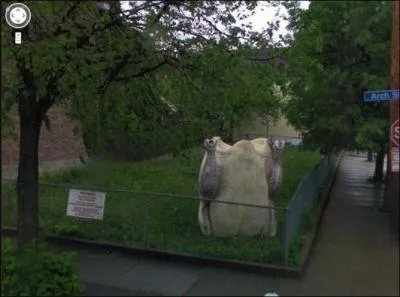 Une sculpture en poulet gant a t saisie dans une rue :