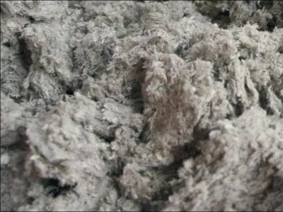 Si vos souvenirs ne sont pas trop cotonneux, le nom de cette chanteuse va vous revenir, car de toutes les matires, c'est celle qu'elle prfre !