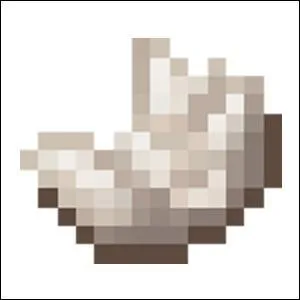 On trouve ce minerai dans le monde du Nether. Qu'est-ce que c'est ?