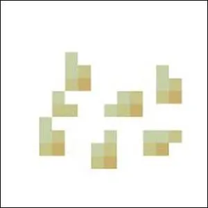  quelle plante appartiennent ces graines ?