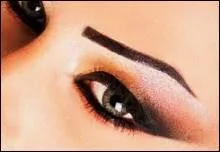 Dans le film d'Alain Chabat,  Astrix et Oblix : Mission Cloptre , la reine dit  Amonbofis que s'il ne construit pas un temple pour Marc-Antoine en trois mois, elle le jettera aux hippopotames.