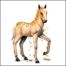 Quelle est cette race ?