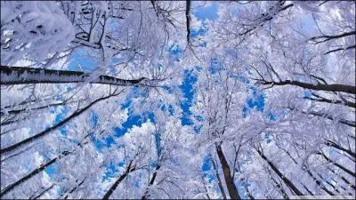 Je suis la ville la plus haute de France, je me situe dans les Alpes; quand il neige, ce n'est pas qu'un petit malheureux mtre, qui suis-je ?