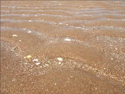 Je suis la prfecture de mon dpartement touristique qui renferme un beau parc connu dans le monde entier, de belles plages et du beau sable, comme dans une ville de ma cte, qui suis-je ?