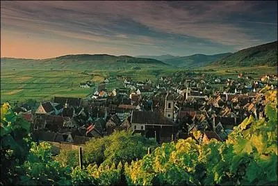 Je suis une prfecture, mais pas la ville la plus grande de mon dpartement, je suis situe  une dizaine de kilomtres du fleuve finissant sa route  Rotterdam, qui suis-je ?