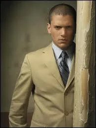 De quelle série vient le personnage Michael Scofield ?