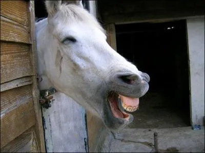  C'est dans un coin du bois de Boulogne / Que j'ai rencontre Flicie . Qu'est-ce que vous voulez que je vous dise de plus ?