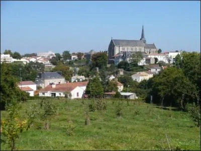 Le Poir-sur-Vie est une ville franaise :
