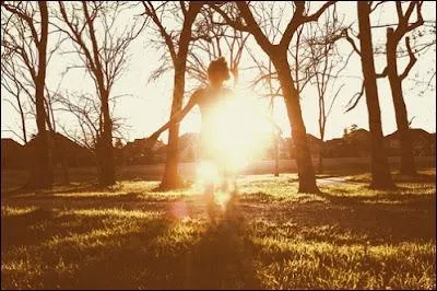 De qui sont les vers  L'aurore s'allume, l'ombre paisse fuit, le rve et la brume vont o va la nuit  ?