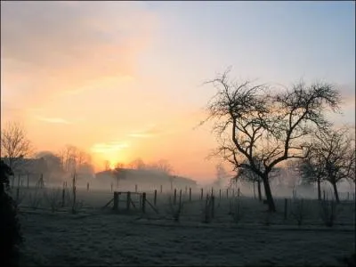 De qui sont les vers  Demain ds l'aube  l'heure o blanchit la campagne  ?