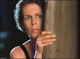 Qui partage l'affiche avec Jamie Lee Curtis dans  True Lies  (Vrai Mensonge au Qubec) ?
